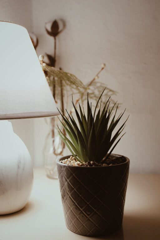 Tips for Creating a Relaxing Home Environment with Simple Decor Changes